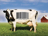 video-foodinc