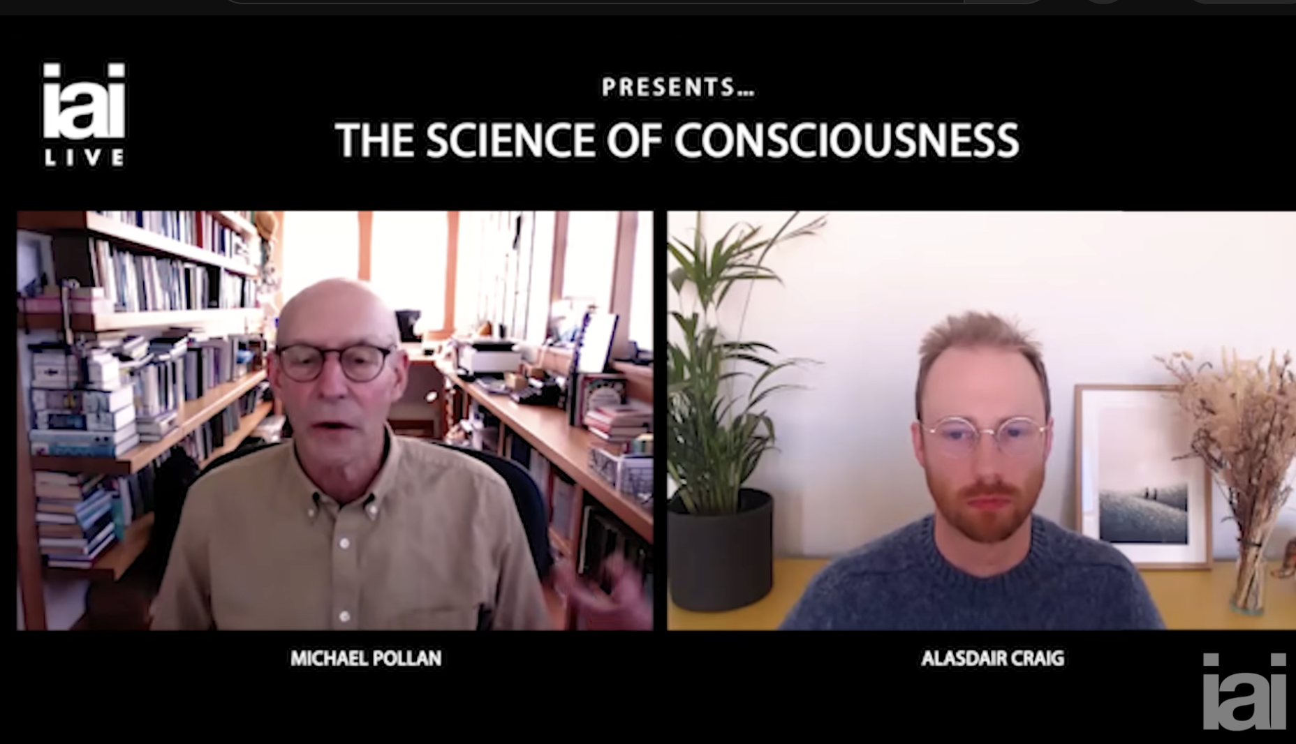 What Venus Flytraps, ChatGPT, and LSD reveal about consciousness